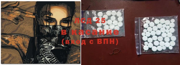 твердый Аркадак