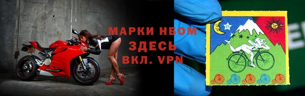 твердый Аркадак