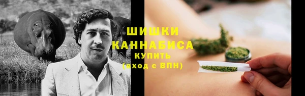 твердый Аркадак