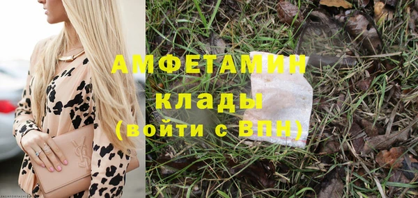 твердый Аркадак