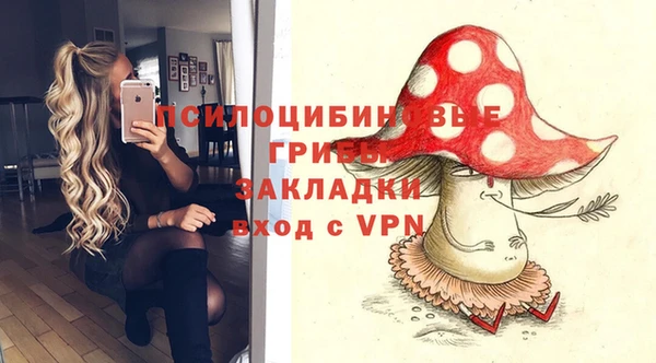 твердый Аркадак
