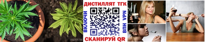 кракен вход  Сальск  Дистиллят ТГК концентрат  сколько стоит 